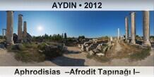 AYDIN Aphrodisias  �Afrodit Tap�na�� I�