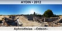 AYDIN Aphrodisias  �Odeon�