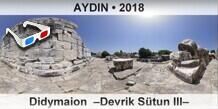 AYDIN Didymaion  �Devrik S�tun III�