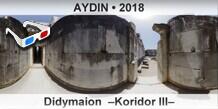 AYDIN Didymaion  �Koridor III�
