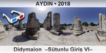 AYDIN Didymaion  �S�tunlu Giri� VI�