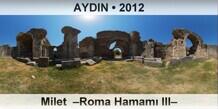 AYDIN Milet  �Roma Hamam� III�