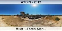 AYDIN Milet  �T�ren Alan��