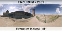 ERZURUM Erzurum Kalesi  �III�