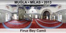 MU�LA � M�LAS Firuz Bey Camii