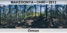 MAKEDONYA � OHR� Orman